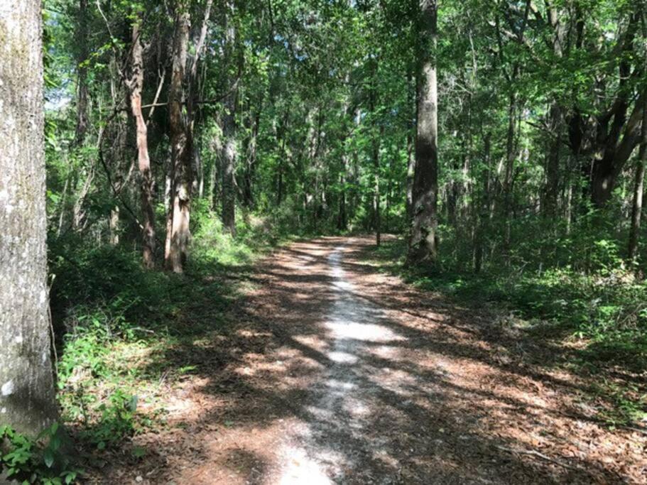 Town & Country Hideaway - 1Br/1Ba, 20 Min Famu/Fsu Leilighet Tallahassee Eksteriør bilde